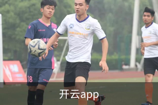 开云app公司简介图片